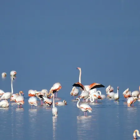 Appartamento Molo Lido delle Nazioni